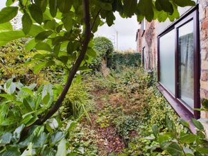 Front Garden- click for photo gallery